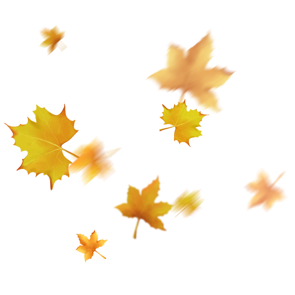 Падающие листья на прозрачном фоне