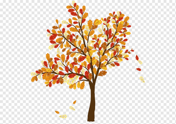 Осенние Дубки вектор