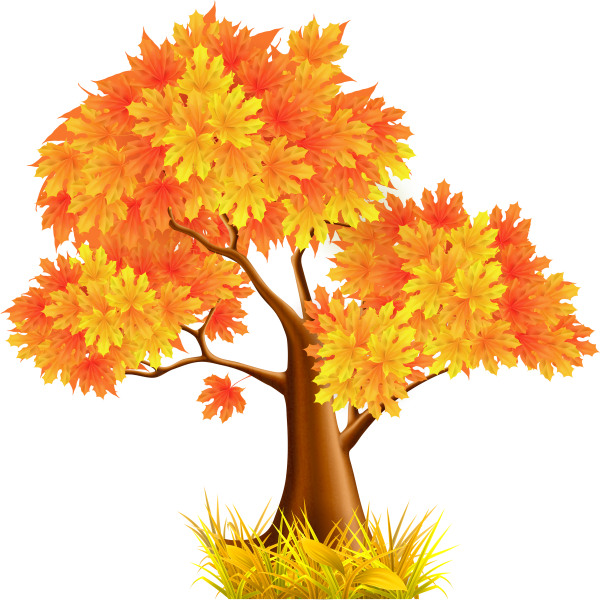 Сказочное осеннее дерево