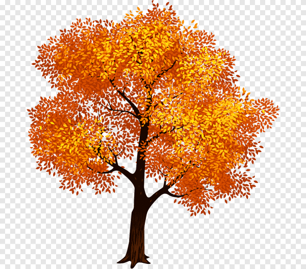 Осеннее дерево на прозрачном фоне