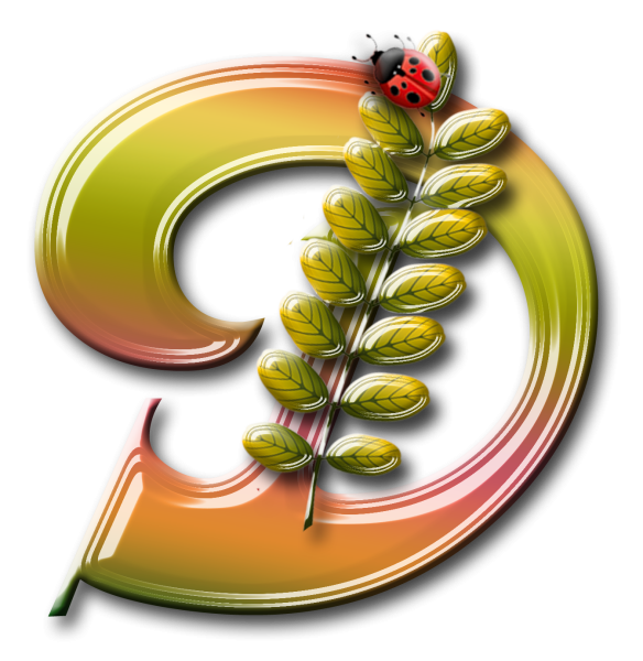 Осенний алфавит на прозрачном фоне