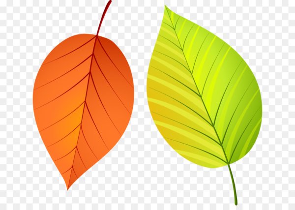 Листики для вырезания цветные