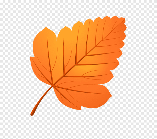 Осенние листья