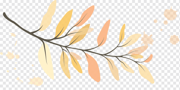 Бежевые листья без фона