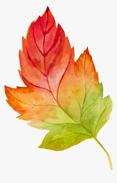 Акварельные осенние листья