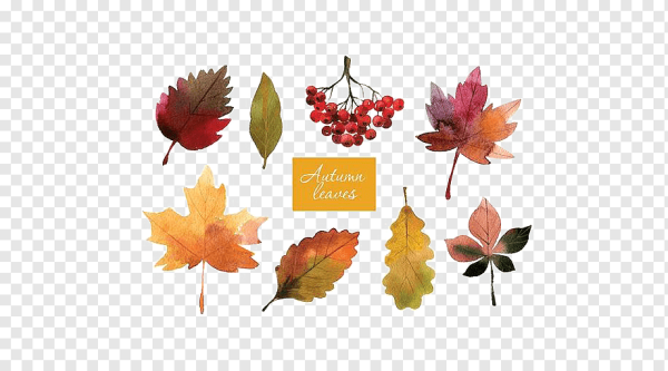 Акварельные осенние листья
