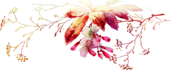 Белый фон осенние ветки акварель