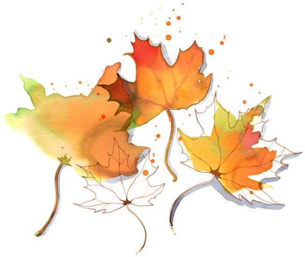 Осенние листочки акварелью