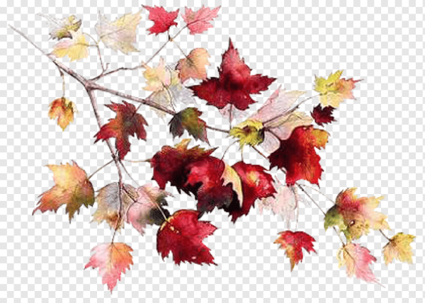 Осенняя ветка акварель