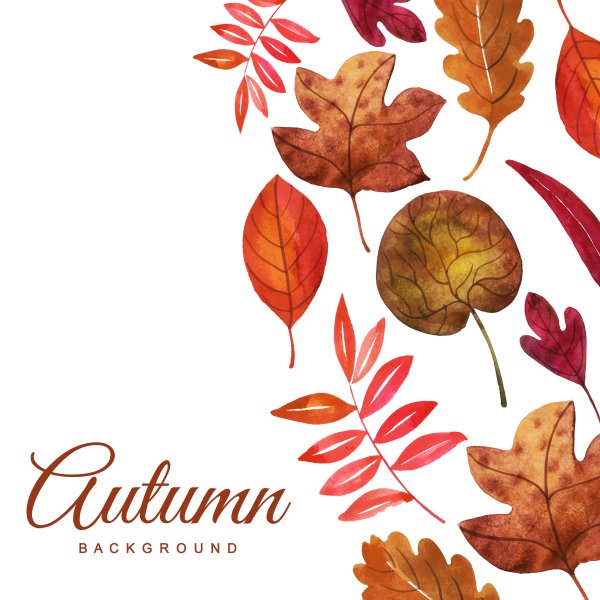 Акварельные осенние листья