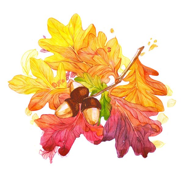 Осень акварель