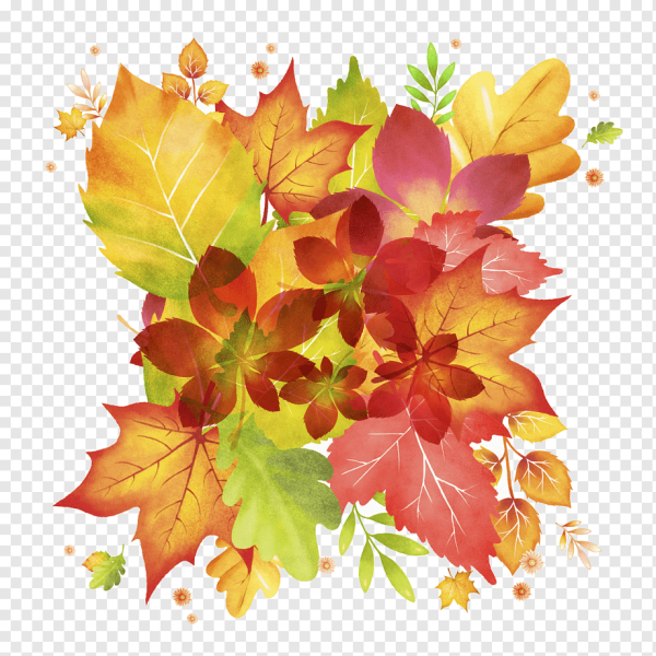 Осенний клипарт на прозрачном фоне