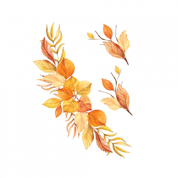 Акварельные листья на прозрачном фоне