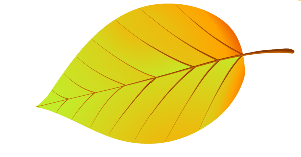 Листики деревьев