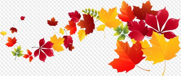Осенняя листва на прозрачном фоне