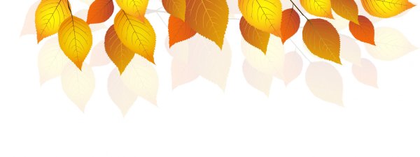 Листва осень на белом фоне