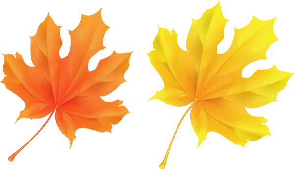 Желтые листочки