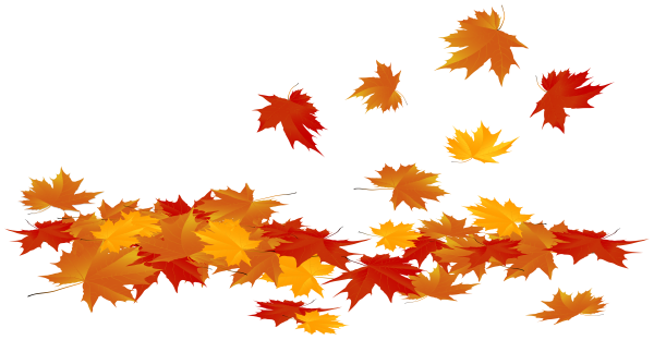 Осенние листья клипарт