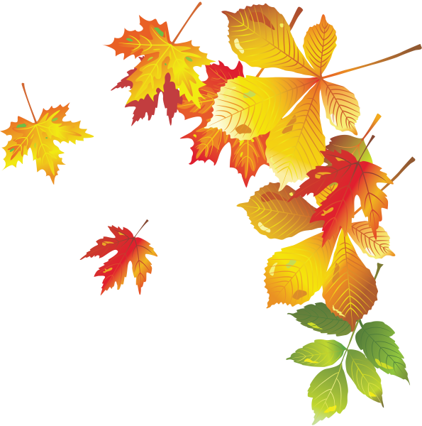 Клипарт осенние листья на прозрачном фоне