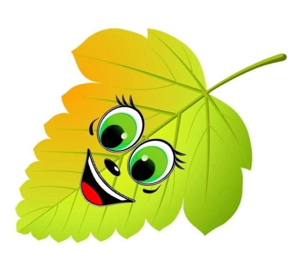 Листочки с глазками