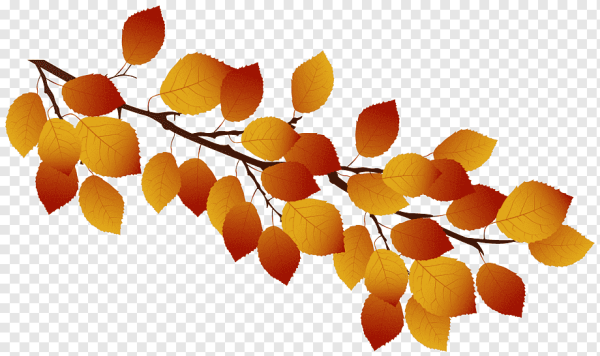 Осенняя веточка на прозрачном фоне