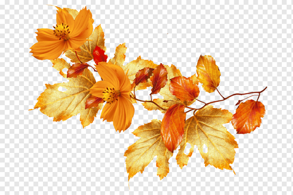 Осенняя веточка