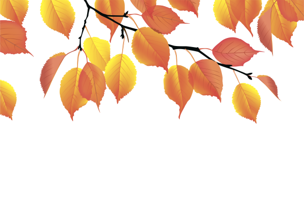 Осенние листья на прозрачном фоне