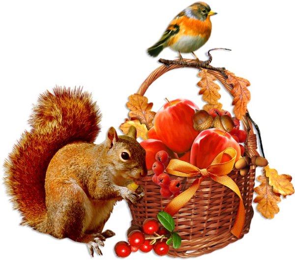 Осенний клипарт