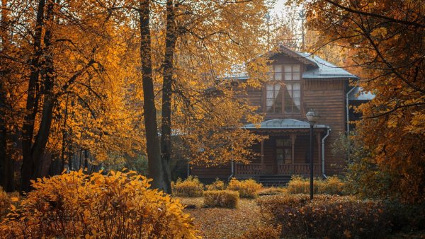 Осень дача усадьба деревня
