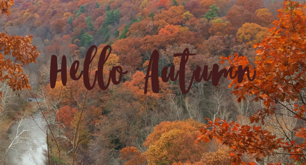 Надпись осень Эстетика