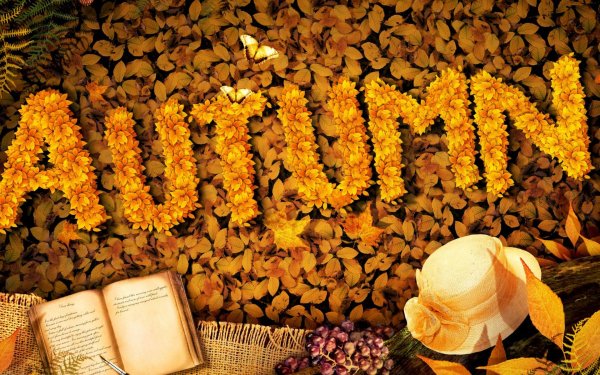 Осень надпись