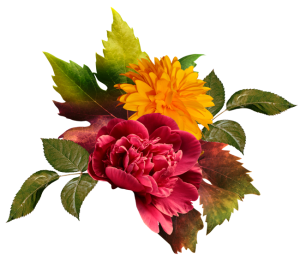 Букет осенних цветов на прозрачном фоне