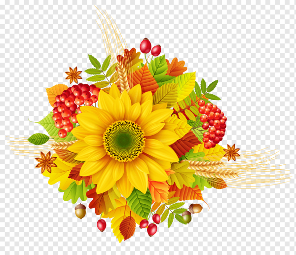 Осенний букет без фона