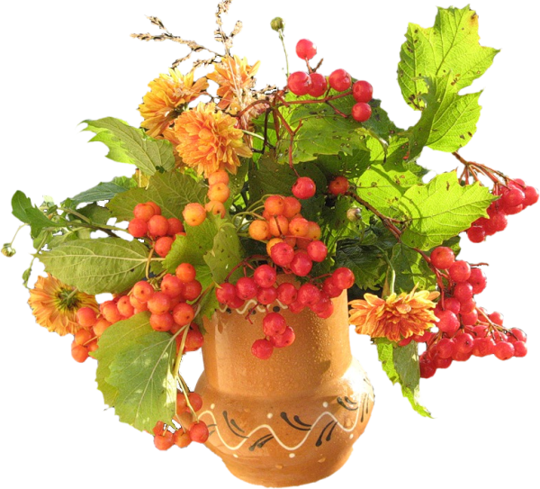 Осенняя композиция на прозрачном фоне