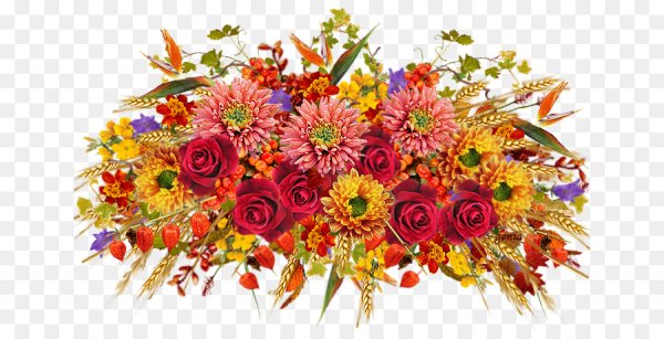 Осенние цветы на белом фоне