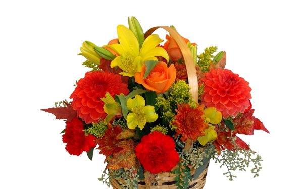 Осенние цветы букет на белом фоне