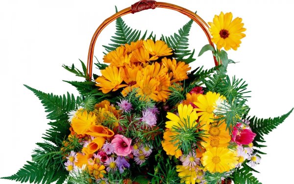 Корзинка с цветами