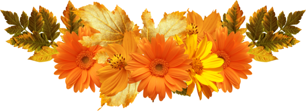 Осенний букет на белом фоне