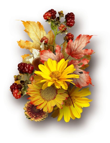 Осенние цветы букет