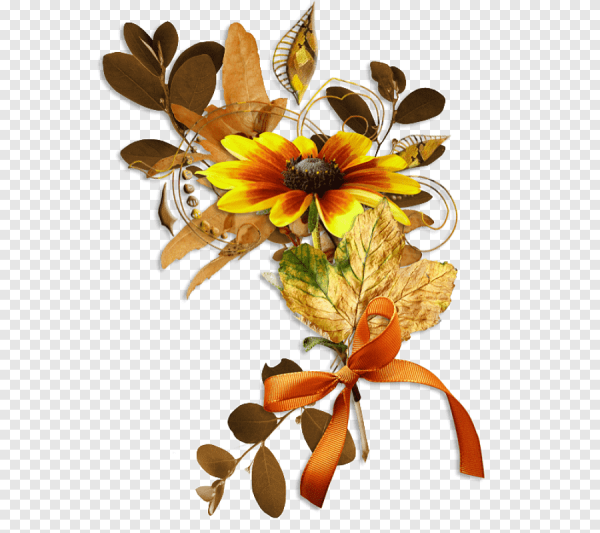 Осенние цветочки на прозрачном фоне