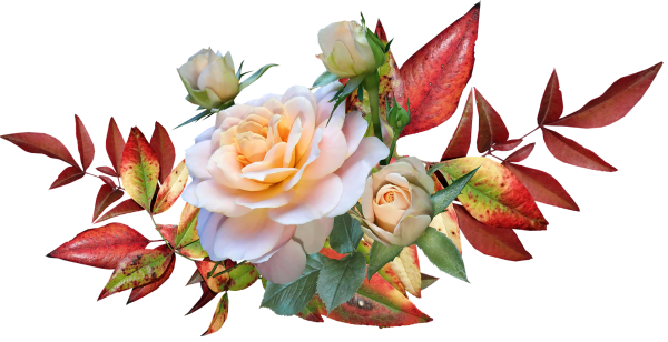 Осенние листья и цветы на прозрачном фоне