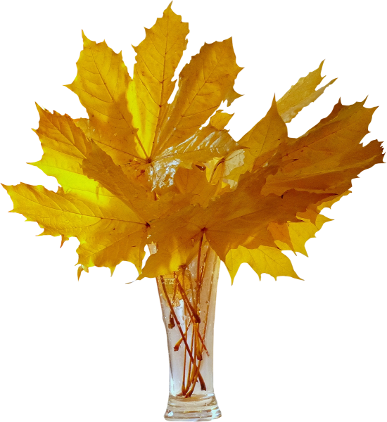 Букет из листьев прозрачный