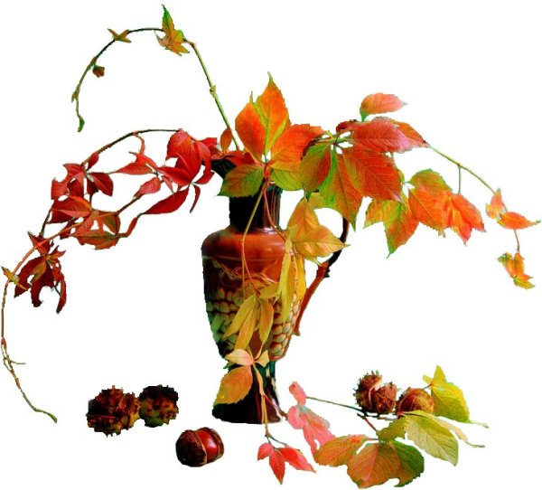 Прозрачная осень