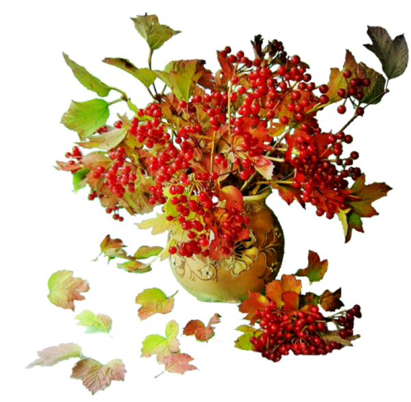 Букет осенних листьев