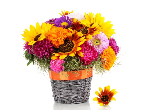 Корзина цветов