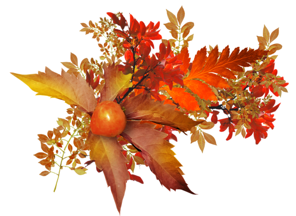 Букет из осенних листьев