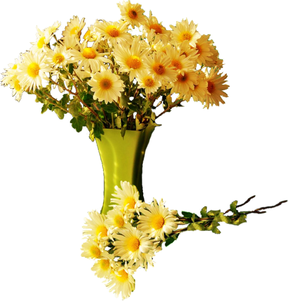 Цветы осенние в вазе на белом фоне