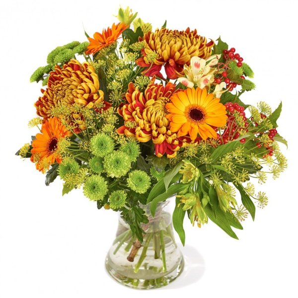 Гелениум осенний