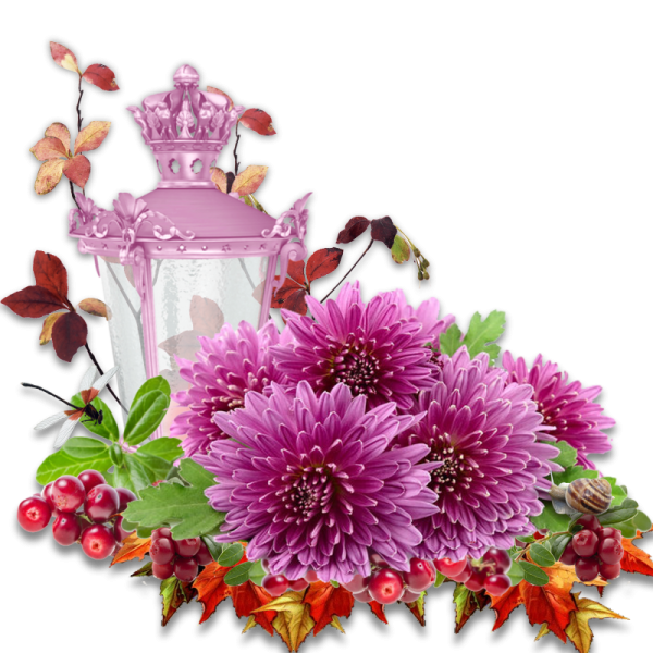 Композиции цветами на прозрачном фоне