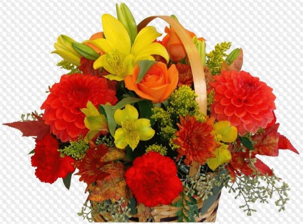 Букет осенних цветов на белом фоне